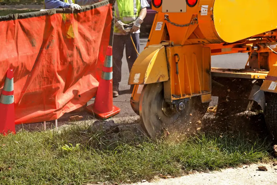 Experienced Tree Stump Grinding Leavenworth, KS Experienced Tree Stump Grinding Leavenworth, KS