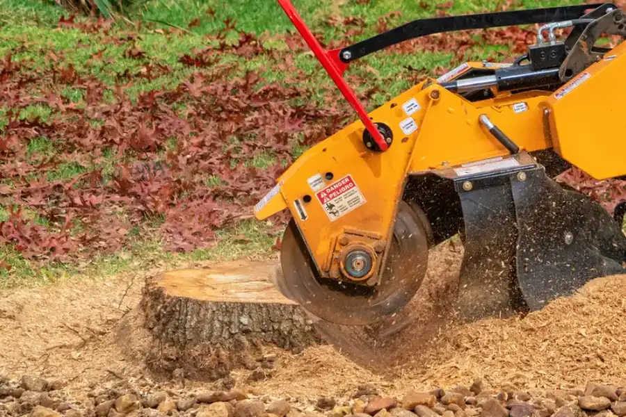 Expert Tree Stump Grinding Leavenworth, KS Expert Tree Stump Grinding Leavenworth, KS