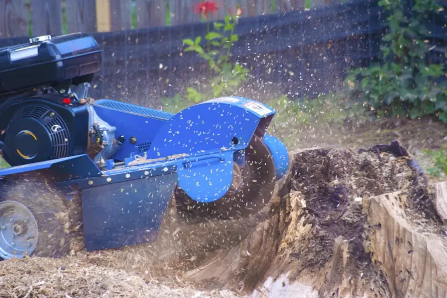 Quality Tree Stump Grinding Leavenworth, KS Quality Tree Stump Grinding Leavenworth, KS