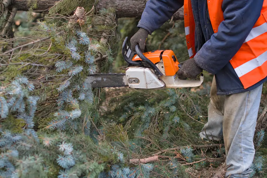 Top-rated Tree Removal Service Leavenworth, KS Top-rated Tree Removal Service Leavenworth, KS